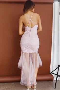 Mon Amour Lace Detail Tulle Mesh Hem Dress Blush -Trend Whisper 27466D 20BLUSH 3