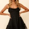 Summer Daze Frill Bust Floral Embroidered Overlay Dress Black