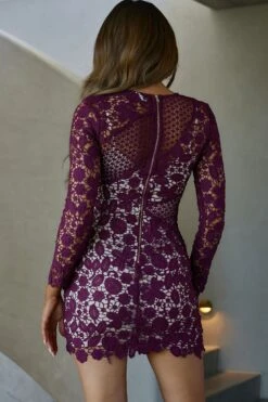 Reinhart Lace Overlay Mini Dress Plum -Trend Whisper SA0744 20PLUM 3