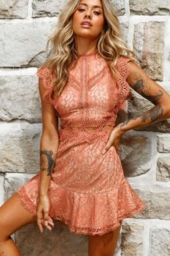 Elisha Crochet Detail Lace Overlay Dress Rose -Trend Whisper st2488d rose 9